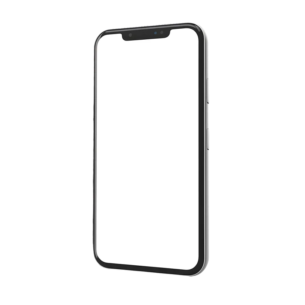 Application SAGIR sur téléphone